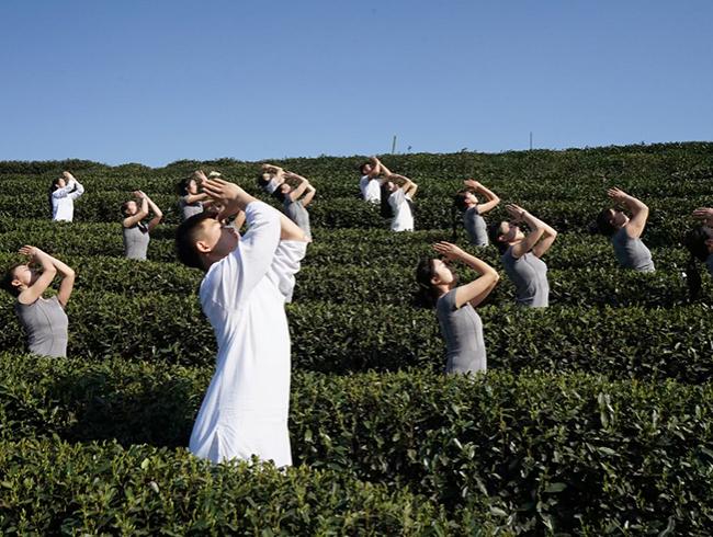 杭州尊龙人生就是博d88官方网站瑜伽学院